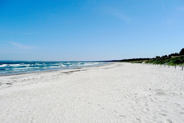 A wide sandy beach with gentle waves, a clear sky, and a line of vegetation along the right side.