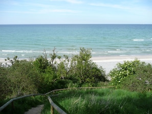 A beach with a wooden staircase leading down to the shore, surrounded by greenery.