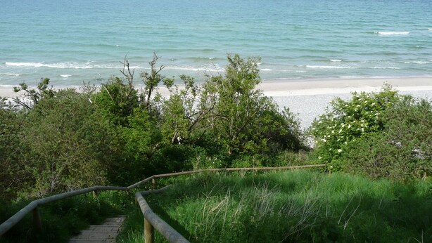 Ein Strand mit einer Holztreppe, die zum Ufer führt, umgeben von viel Grün.