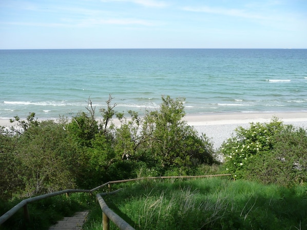 A beach with a wooden staircase leading down to the shore, surrounded by greenery. - Lots of nature, idyllic surroundings, quiet location - Ferienpark Neddesitz FeWo 48 - (Sagard)