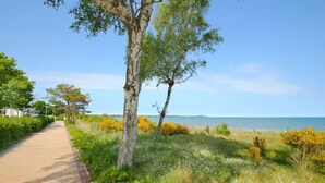 A paved walkway alongside a beach with trees and bushes.