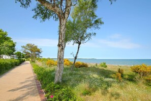 Un sendero pavimentado junto a una playa con árboles y arbustos.
