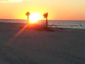 Nära stranden
