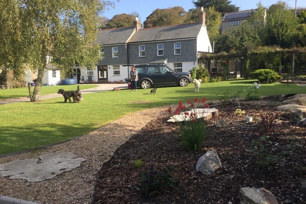 Doggie guests from last year