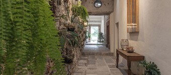 Orchid House San Miguel de Allende