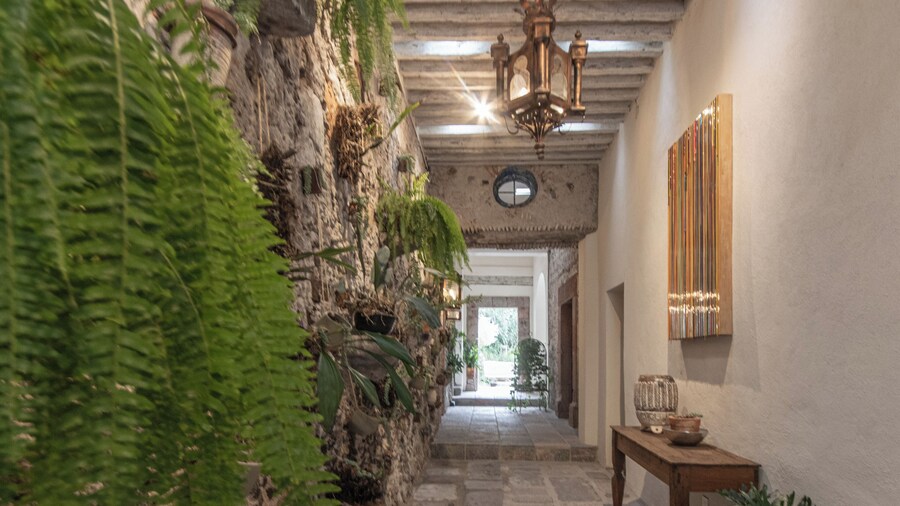 Orchid House San Miguel de Allende