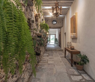 Orchid House San Miguel de Allende