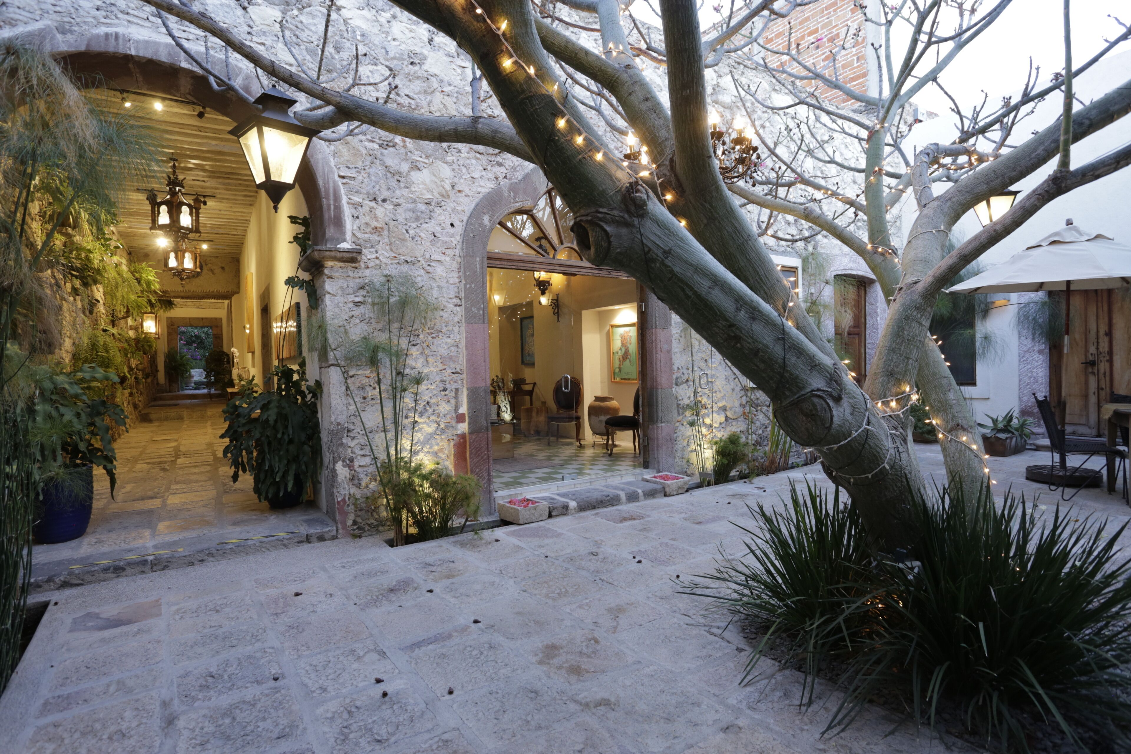 Terraza o patio