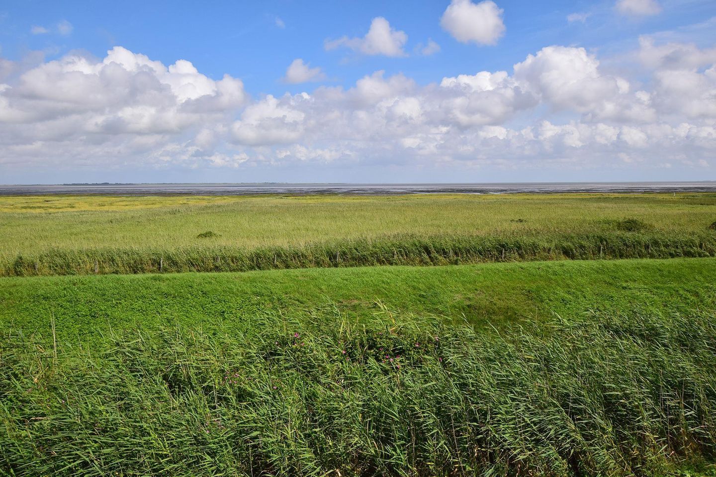 Un campo extenso y abierto con cielo despejado y algunas nubes dispersas.