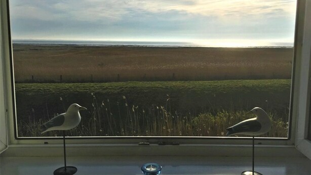Ein Fenster mit Blick auf ein Feld und zwei Vögel.