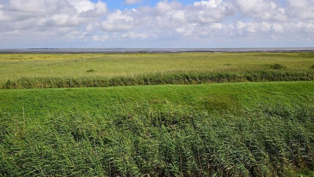 A vast, open field with a clear sky and scattered clouds. - Hüs Thora Jaiken "App.Birthe" TJ/02 - Thora Jaiken (Sylt)