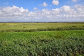 Miscellaneous - Hüs Thora Jaiken "App.Birthe" TJ/02 - Thora Jaiken (Sylt)