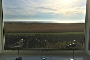 Una ventana con vistas a un campo y dos pájaros.