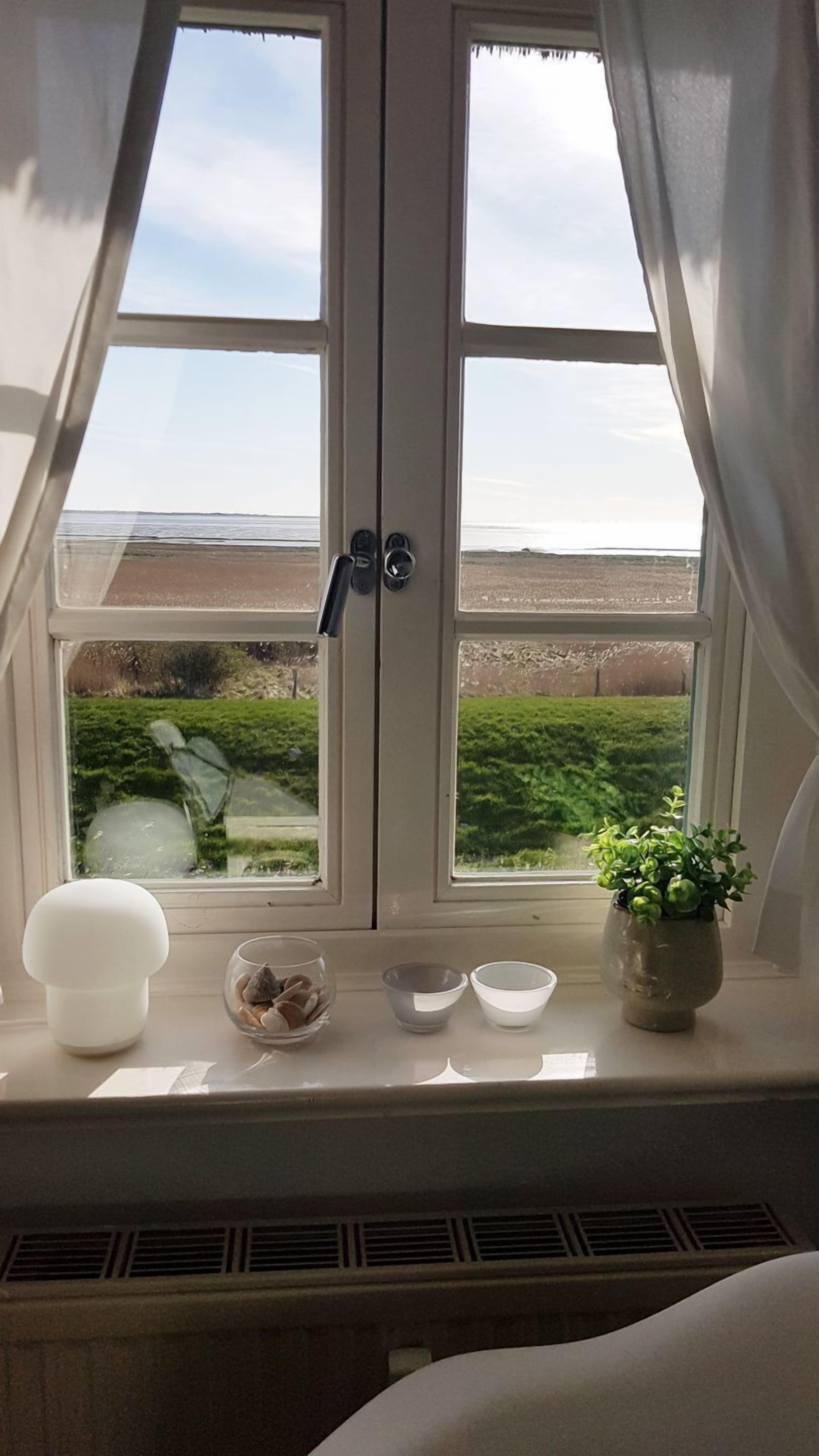 A window with a view of a beach and greenery, a white lamp, and a small plant on the windowsill.