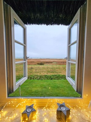 Unclassified image, 3 of 24, button