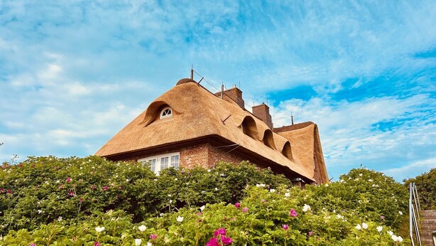 Une maison unique, dotée d’un toit incurvé et de murs en briques, entourée d’une végétation luxuriante et de fleurs.