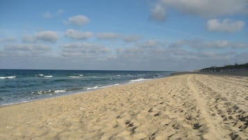 Playa