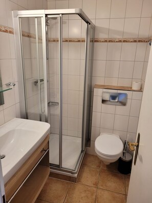 A bathroom with a glass-enclosed shower, a white sink, and a toilet.