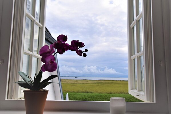 A window with a view of a grassy field and a body of water, a purple orchid plant, and a candle on the windowsill.