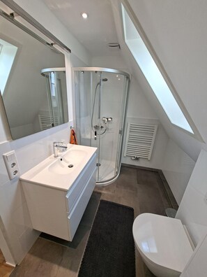 Shower, hair dryer
