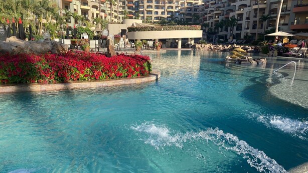 Una piscina con agua azul cristalina, rodeada de flores rojas y palmeras.