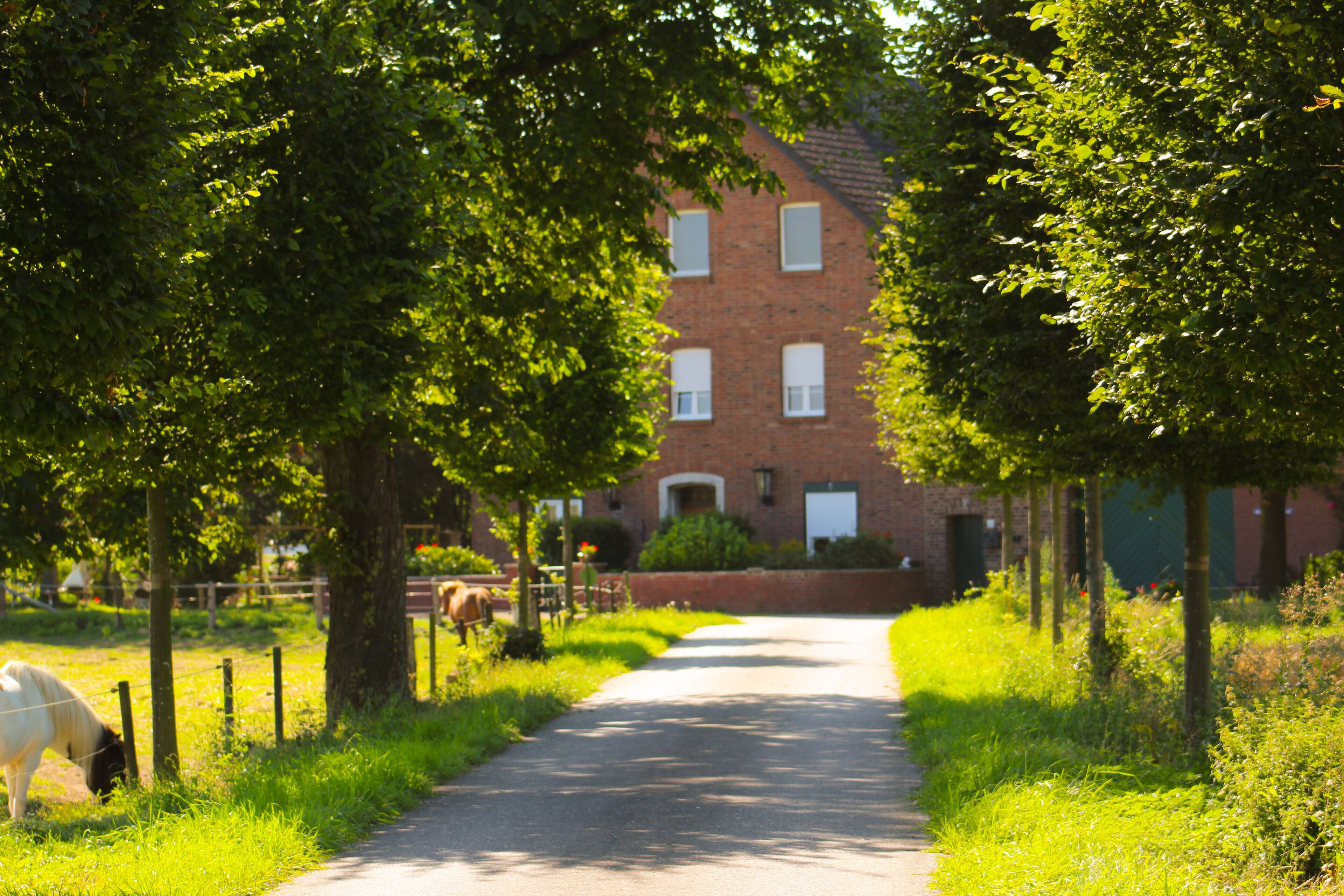 Modern country house apartment, 35 sqm, 1st floor, right