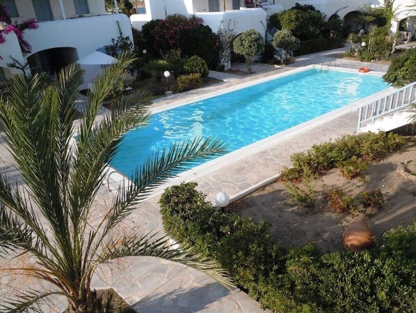 Une piscine rectangulaire à l’eau d’un bleu cristallin, entourée d’une terrasse en pierre et d’une végétation luxuriante.