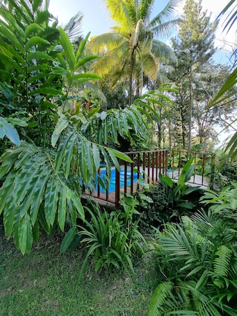 Outdoor pool. 4 acre private Estate, pool, jacuzzi, lush gardens overlooking the Caribbean!