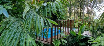4 acre private Estate, pool, jacuzzi, lush gardens overlooking the Caribbean!