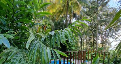 4 acre private Estate, pool, jacuzzi, lush gardens overlooking the Caribbean!