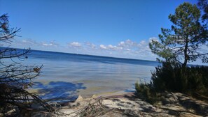 Plage, chaises longues