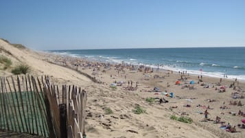 Plage, chaises longues