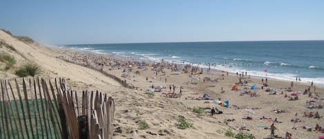 Plage, chaises longues