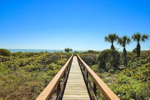Un muelle de madera que conduce a la playa, rodeado de vegetación densa y palmeras.