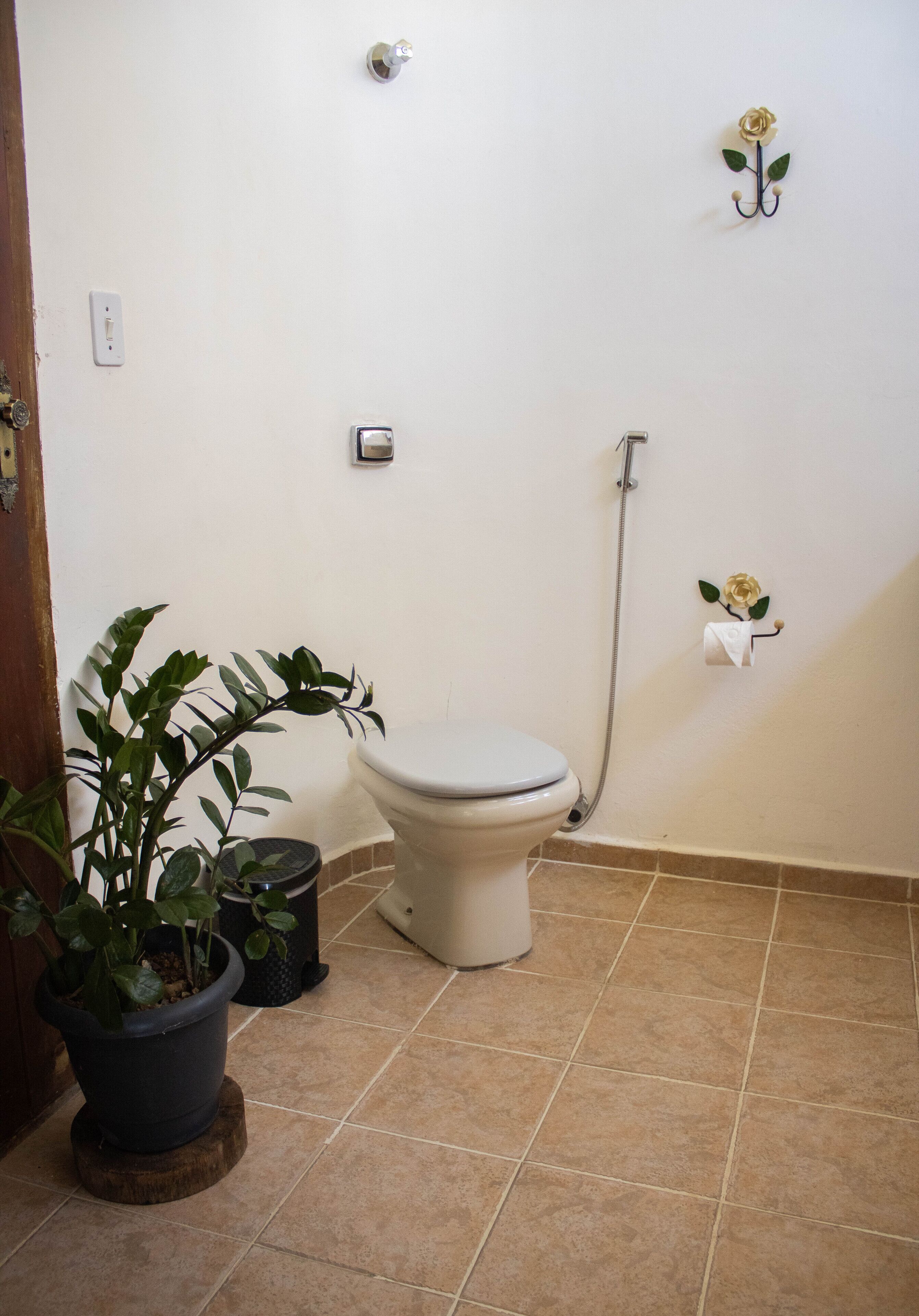Un baño con inodoro, ducha y una planta en maceta.