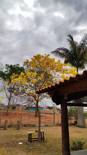 Desayuno a la carta incluido todos los días