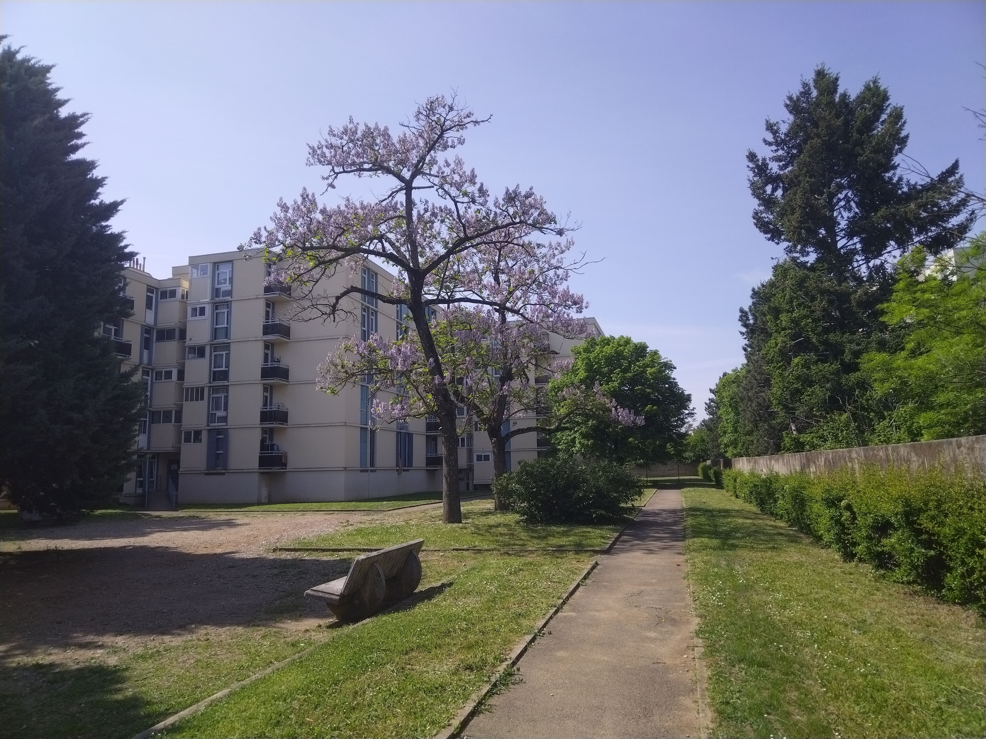 Terrein van de accommodatie