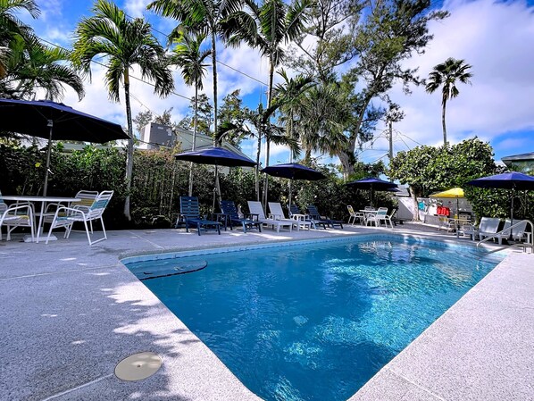 A swimming pool with lounge chairs and umbrellas, surrounded by palm trees and a clear sky.