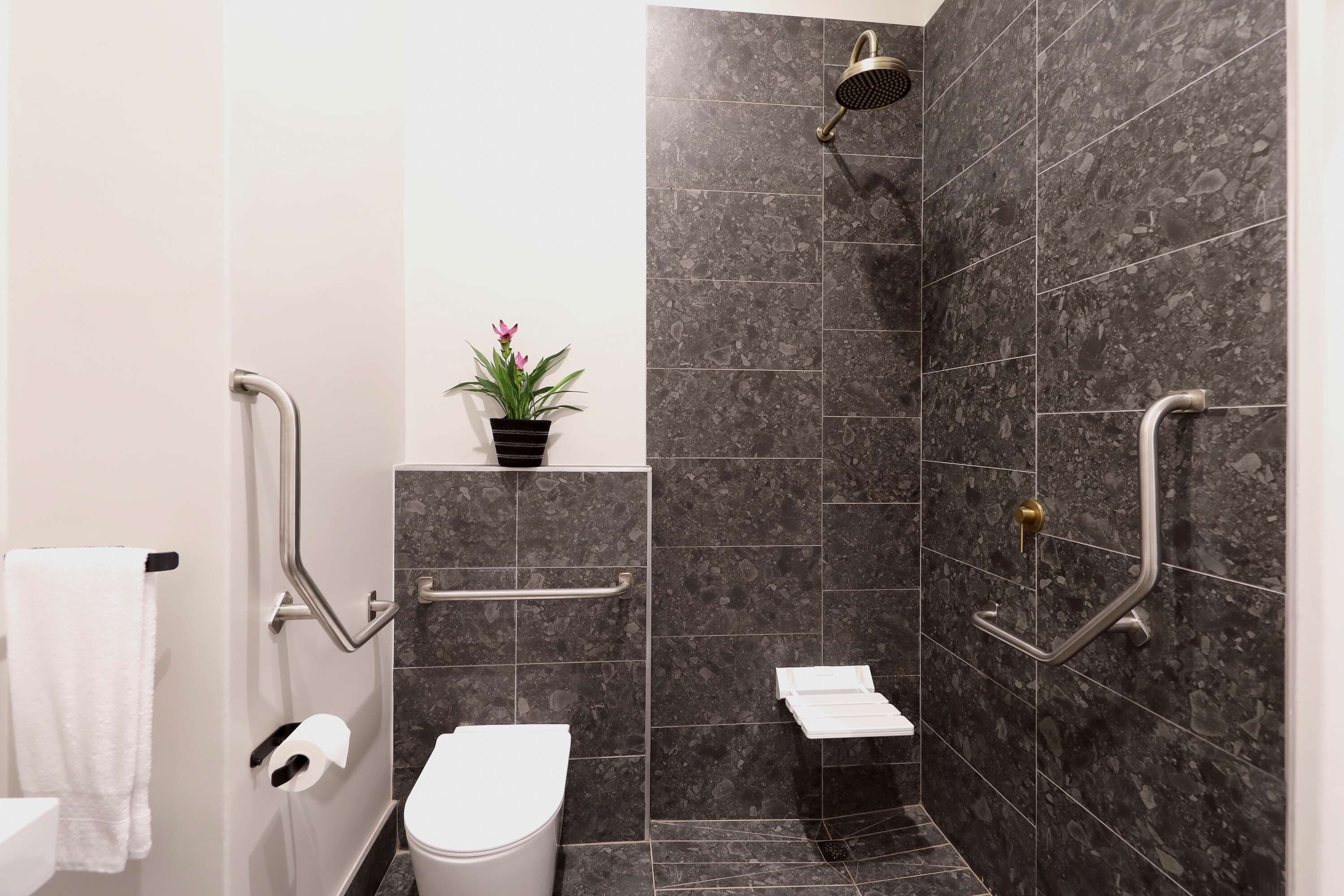 Une salle de bain moderne équipée d’une douche, de toilettes et de barres d’appui.