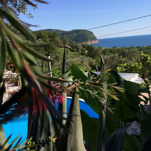 Apartment with sea view and pool - Among the olives