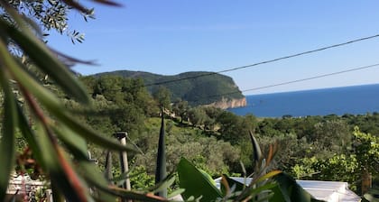 Apartment with sea view and pool - Among the olives