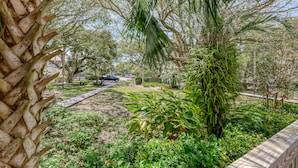 A pathway lined with various plants and trees, leading to a parking area with cars.