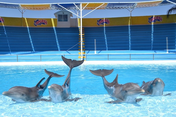 Parque aquático