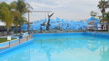 Parque acuático