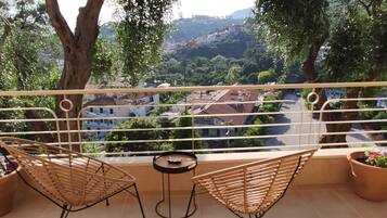 Suite (Chroma) | Teras/patio