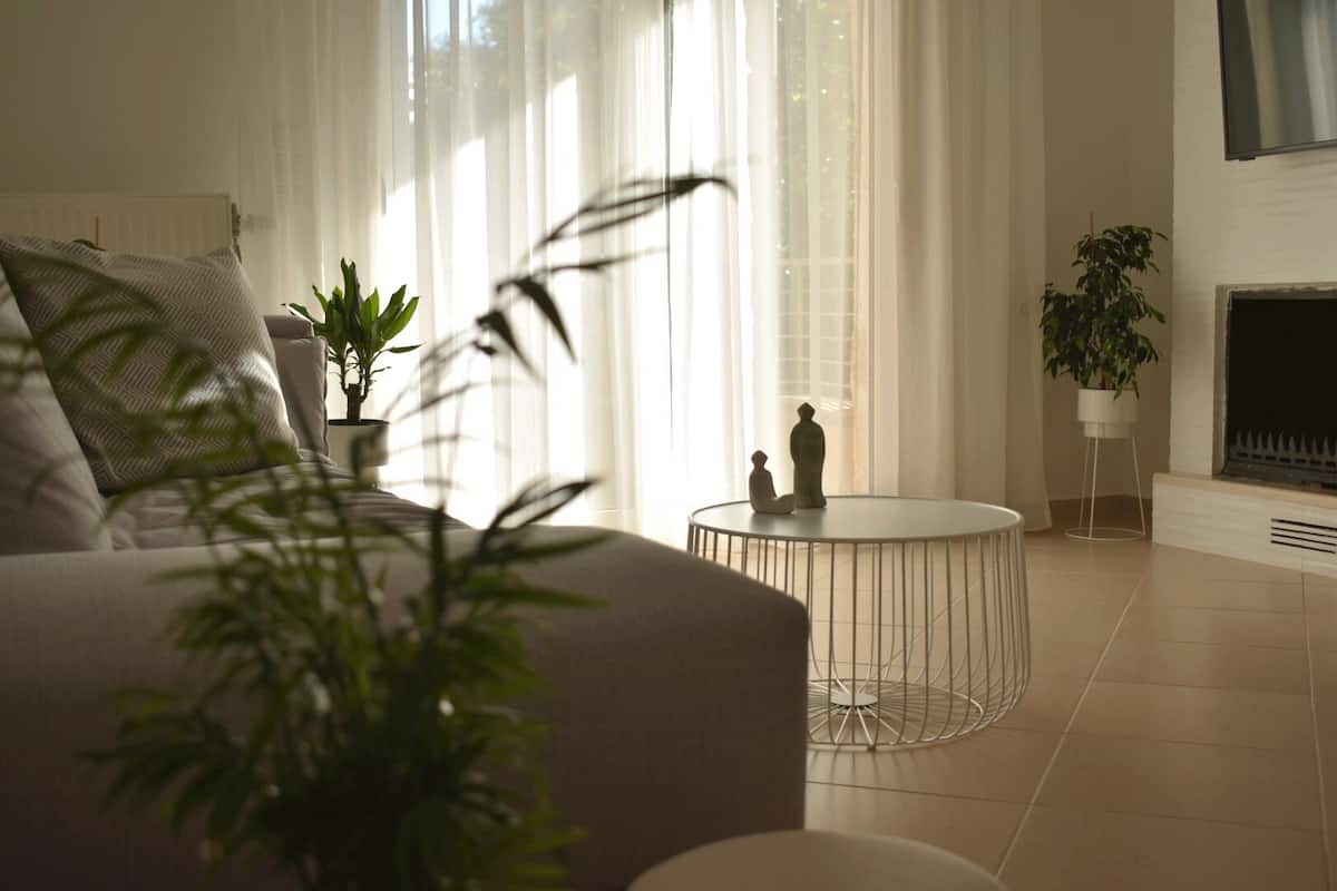 A modern living room with a sofa, a round coffee table, and two potted plants.