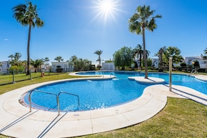 Una piscina de diseño curvo, rodeada de palmeras y un cielo despejado.