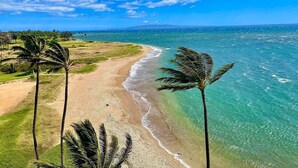 Ein Strand mit klarem türkisblauem Wasser, sandigem Ufer und Palmen.