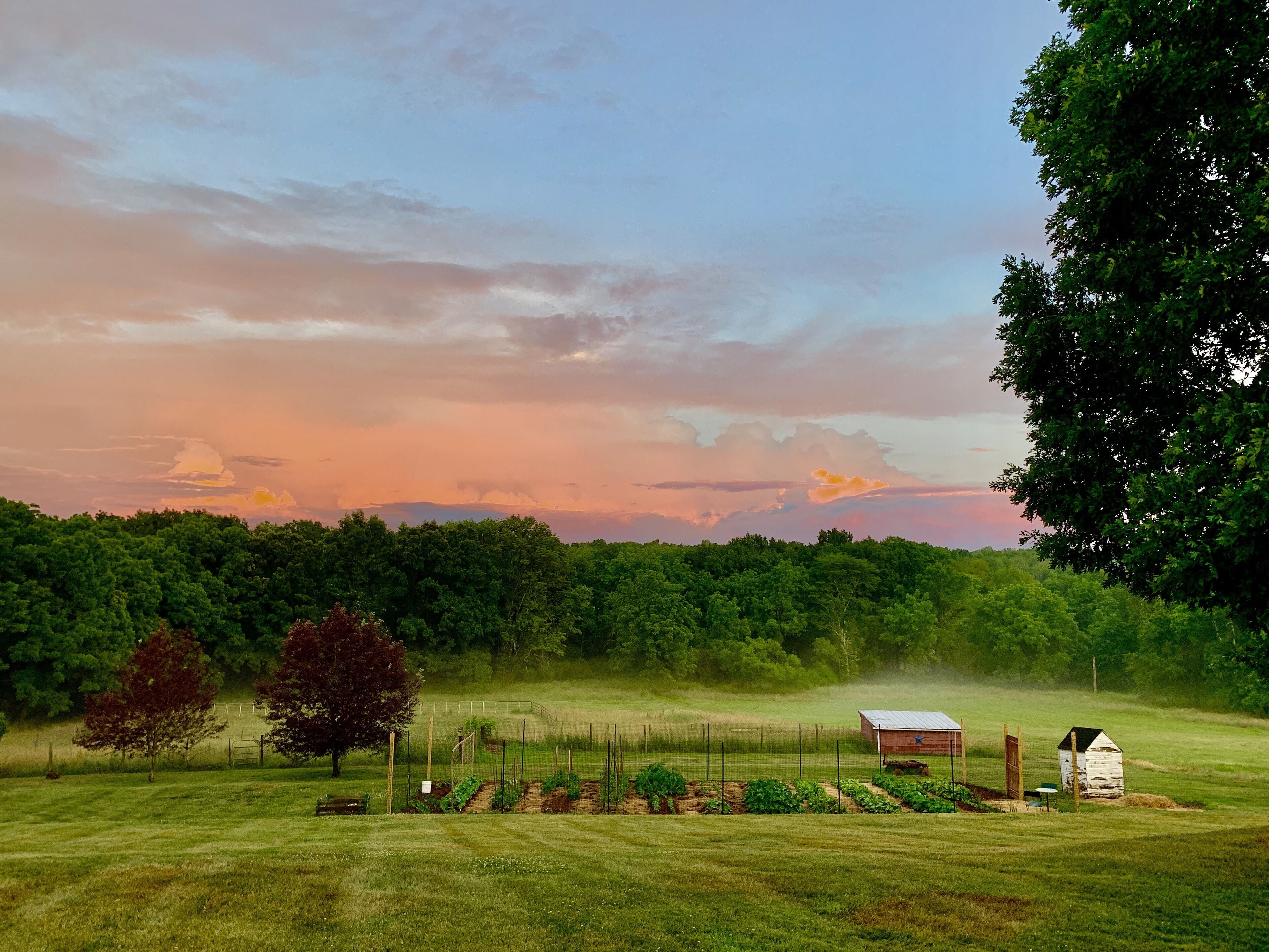 Pastoral views 