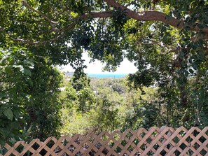 A view through a wooden lattice fence with dense foliage and a distant landscape.